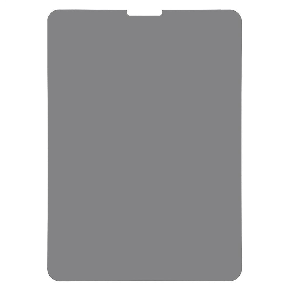 iPad Pro 11" (2025 - 2018) Paper Texture PET Protective Film with Privacy - Transparent