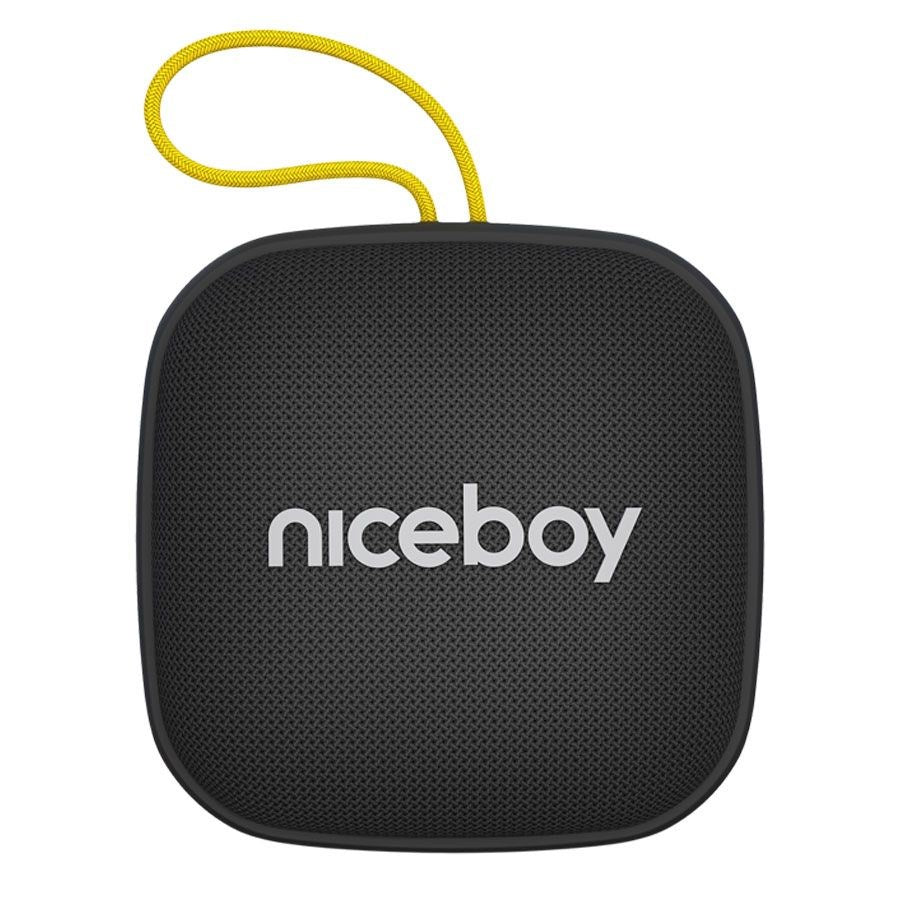 Niceboy RAZE Mini 4 Radio & Wireless Speaker - Black