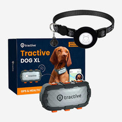 Pet equipment
