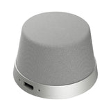 4smarts SoundForce Wireless Speaker - MagSafe Compatible - Grey / Silver