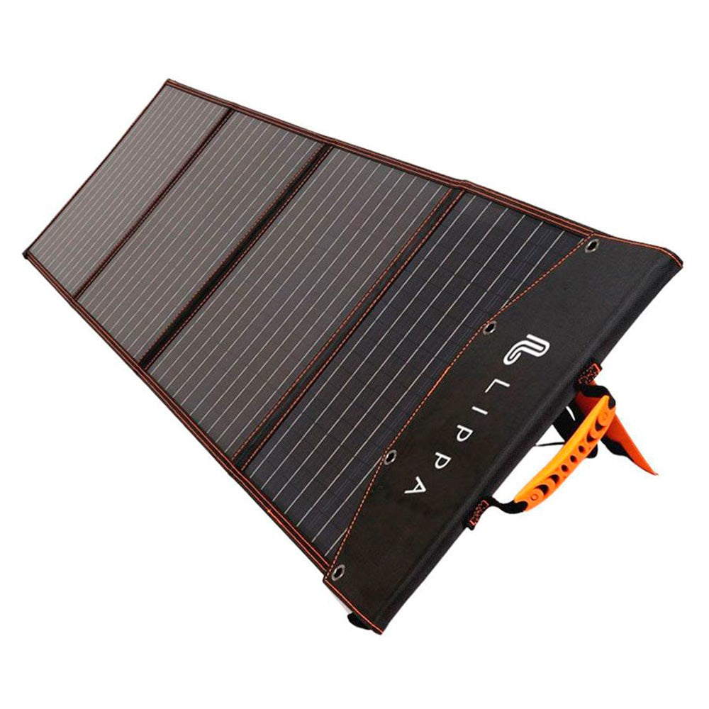 Lippa Solar Panel 220W - Black