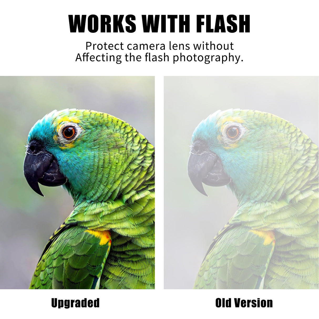 Honor Magic V5 Tempered Camera Lens Protector Glass – Transparent