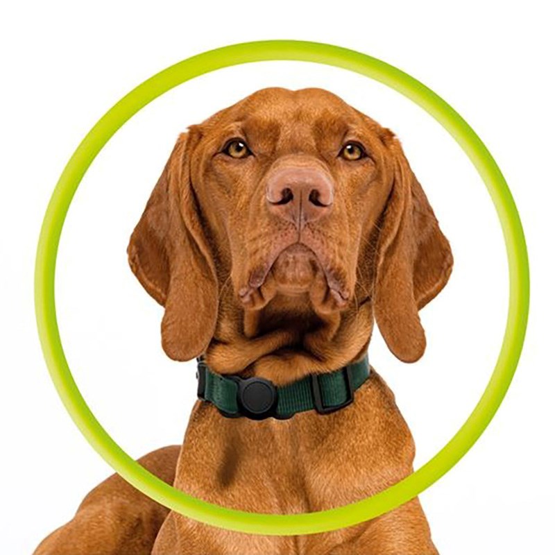 Mobile Origin AirTag Holder for Collar - Black