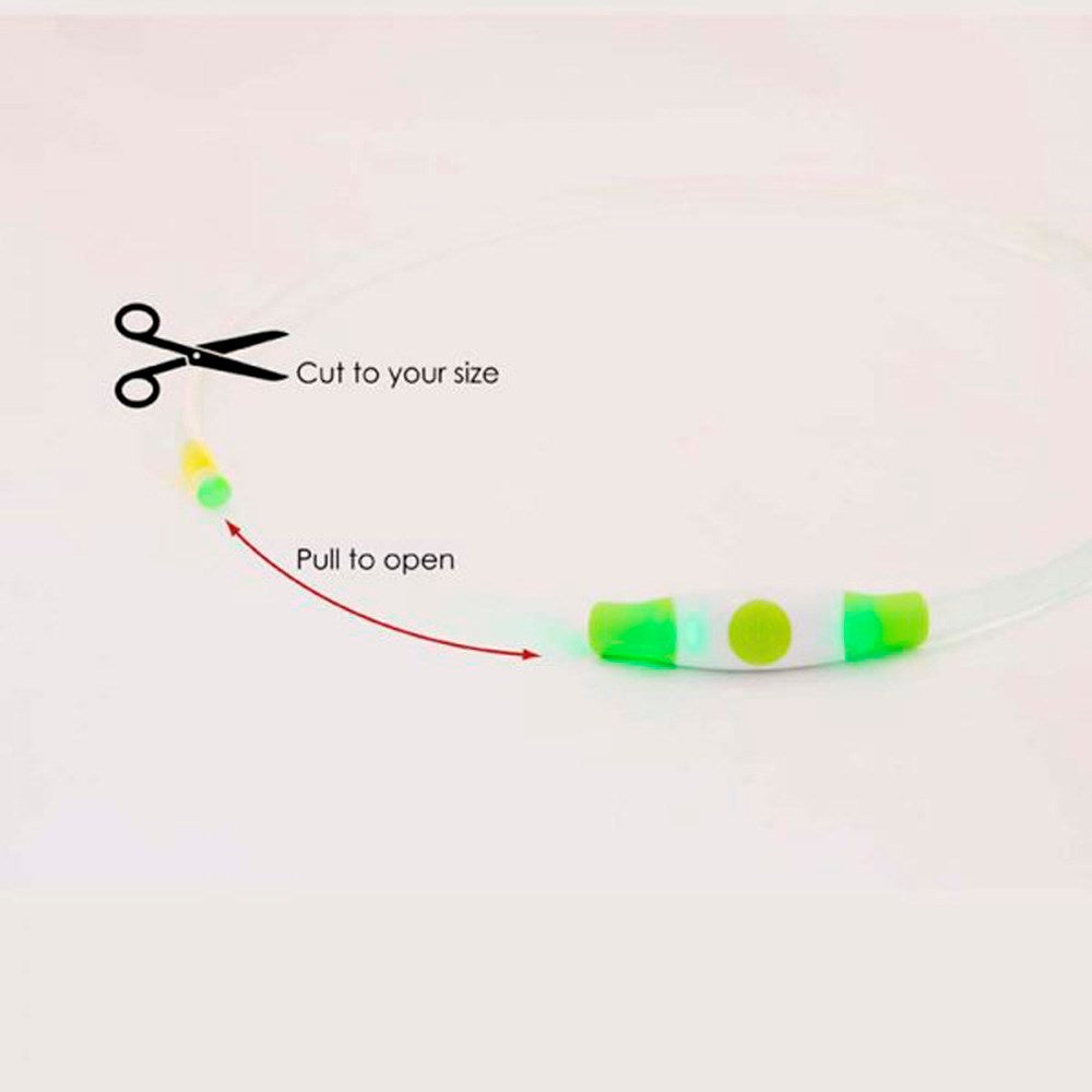 Bee-Safe LED Dog Collar - Red