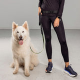Bee-Safe LED Dog Leash for Running - Black