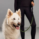 Bee-Safe LED Dog Leash for Running - Black